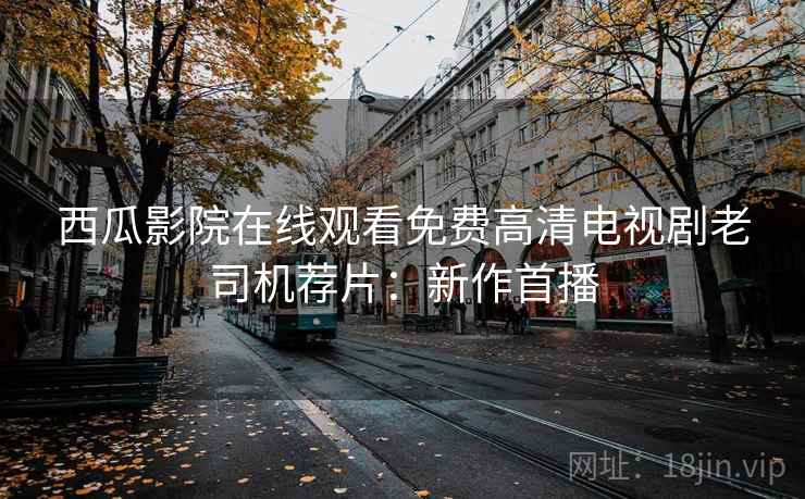 西瓜影院在线观看免费高清电视剧老司机荐片：新作首播